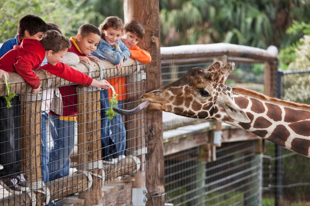 Common Zoo Animals For Kids: The Fun, Exciting, And Educational Introduction To The Most Amazing Wild Animals Your Child Will See At The Zoo