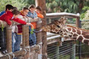 Common Zoo Animals for Kids_ The Fun, Exciting, and Educational Introduction to the Most Amazing Wild Animals Your Child Will See at the Zoo