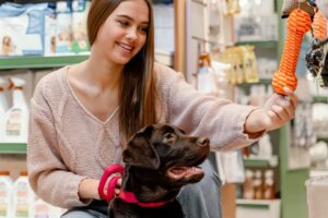 Best Products and Accessories for Dogs The Complete Owner's Guide to Comfort, Wearables, Safety, and Everything That Makes Your Dog's Life Better